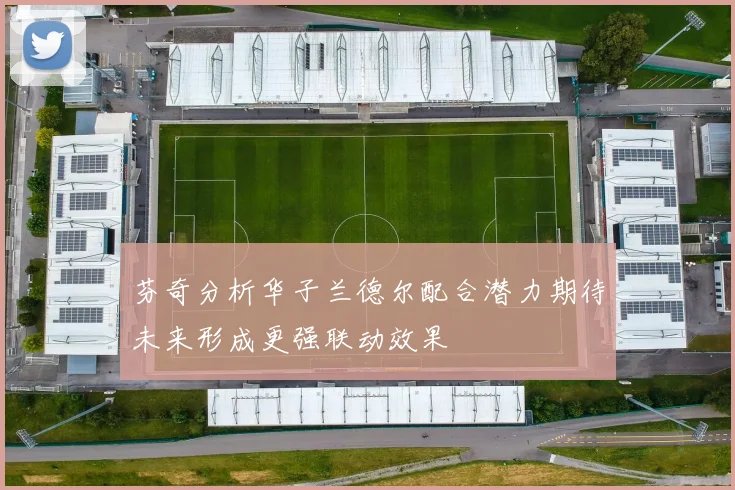 芬奇分析华子兰德尔配合潜力期待未来形成更强联动效果