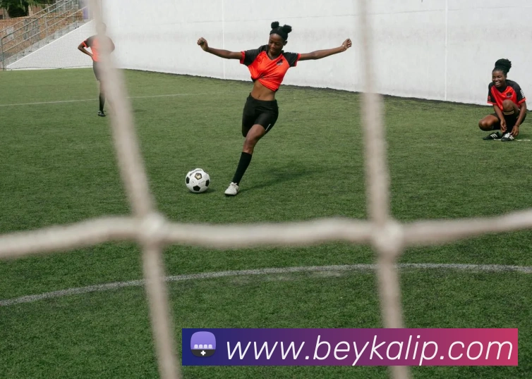 App 展示图